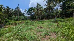 අතුරුගිරියෙන් පර්චස් 12.4ක්,පර්චසය 13.50යි.