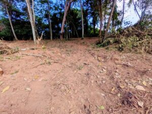 මාතර – දෙවිනුවරින් වටිනා බිම්කොටසක් විකිණීමට!