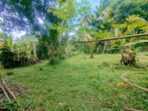ගම්පහ – වටිනා බිම් කොටසක් වහාම විකිණීමට!
