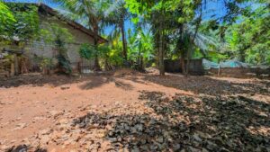 ගම්පහ වීදියවත්තෙන් පර්වස් 11.43 ම ලක්ෂ 19.50/=