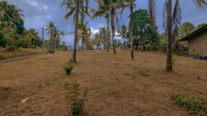 වතුපිටිවල ආයෝජන කලාපයට ඉතා ආසන්නයෙන් (රුග්ගහවිලින්) වටිනා නේවාසික ඉඩමක් විකිණීමට!