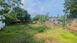 පරණ කොට්ටාව පාරට 300M දුරින් පිහිටි පර්චස් 21 ක වටිනා ඉඩමක් විකිණීමට ‎