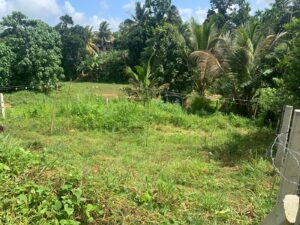 ආටිගලින් ලක්ෂ 19කට Prime Lands සංවර්ධනය කළ වටිනා ඉඩමක්!